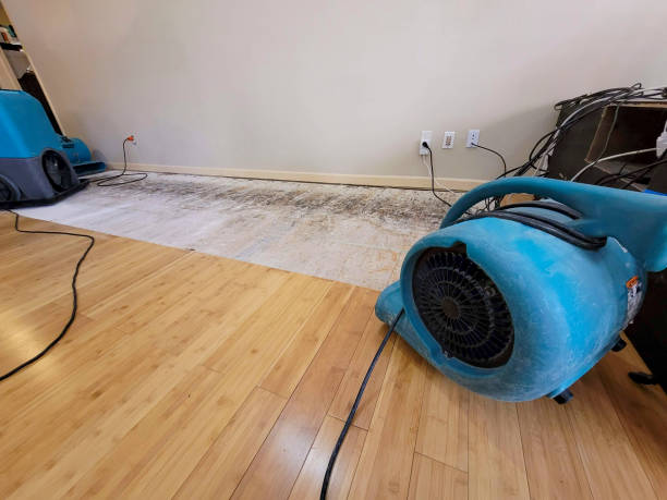 Professional Water Damage Repair technician working in Connecticut, CT